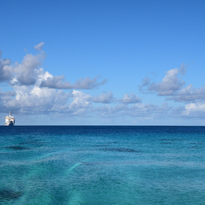 女子蹲下尿裤子的视频
